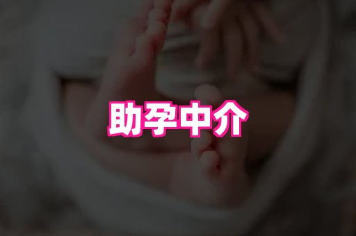gfg孕网 3